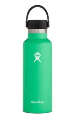 Hydro Flask 18 Oz Standard Mouth Bottles W/ Flex Cap (S18SX) -Sports Store s18sx2 spearmint