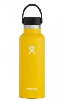 Hydro Flask 18 Oz Standard Mouth Bottles W/ Flex Cap (S18SX) -Sports Store s18sx2 sunflower